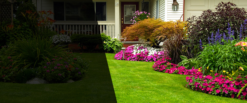 Gunter Landscapers
