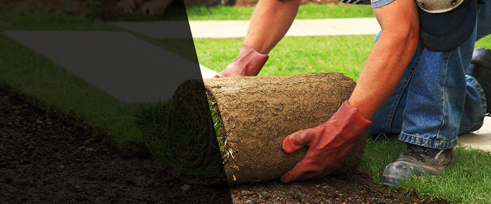 Gunter Landscapers